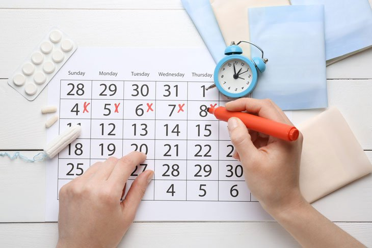 Độ dài trung bình của chu kỳ kinh nguyệt là 28 ngày