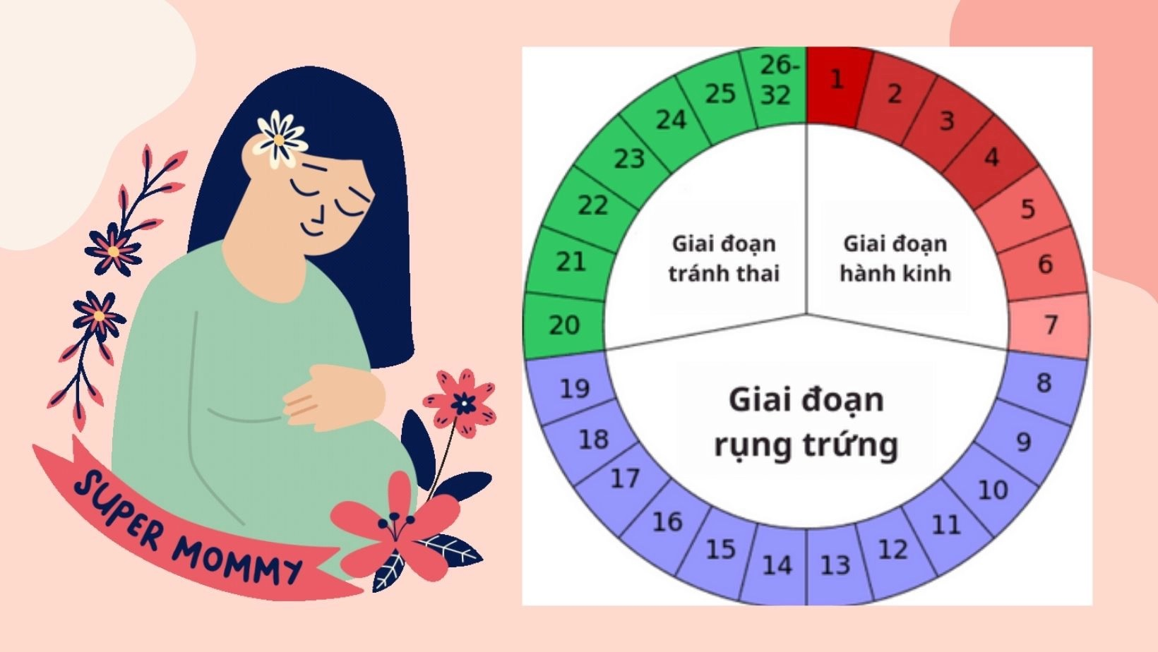 Ngày rụng trứng có thể thay đổi giữa các phụ nữ và giữa các chu kỳ kinh nguyệt khác nhau